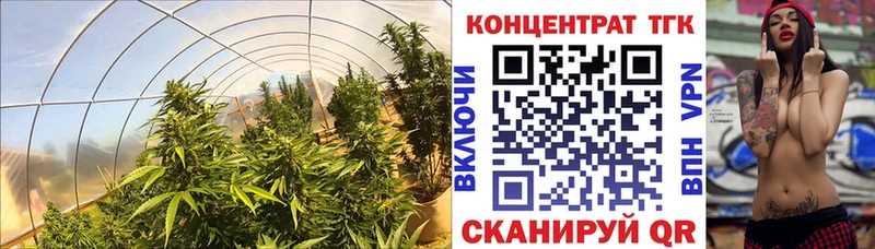 где найти наркотики  Южно-Сухокумск  Дистиллят ТГК гашишное масло 